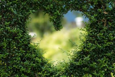 フェイクグリーンで部屋や視界に彩りを！おすすめ10選と選び方解説