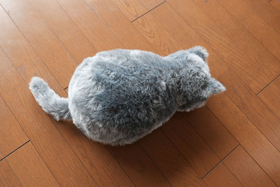 ゴロゴロ鳴く！癒し系ネコ型クッション『MeowEver』【半歩未来のライフスタイル】