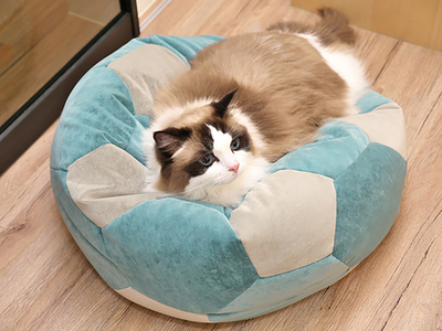 出た！猫をダメにするベッド「LazyBallForPets」。見ているこっちもとろけちゃう!？