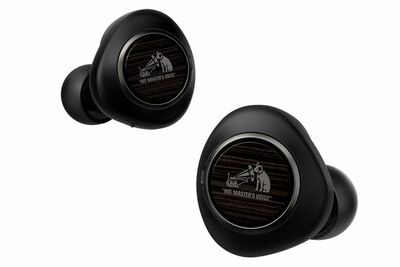 「木が奏でる」初の完全ワイヤレスイヤホン　JVCケンウッドが11月発売