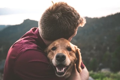 どうぶつでんきは動物の命を助けられる！概要や利用例などを紹介