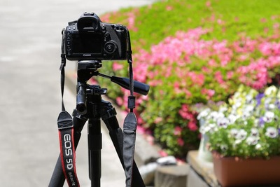 【2019年】　旅のおともに！一眼レフカメラおすすめ三脚10選