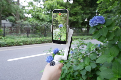 AI追跡機能搭載！コンパクトなスマホ用ジンバル『Insta360 Flow』【半歩未来のライフスタイル】